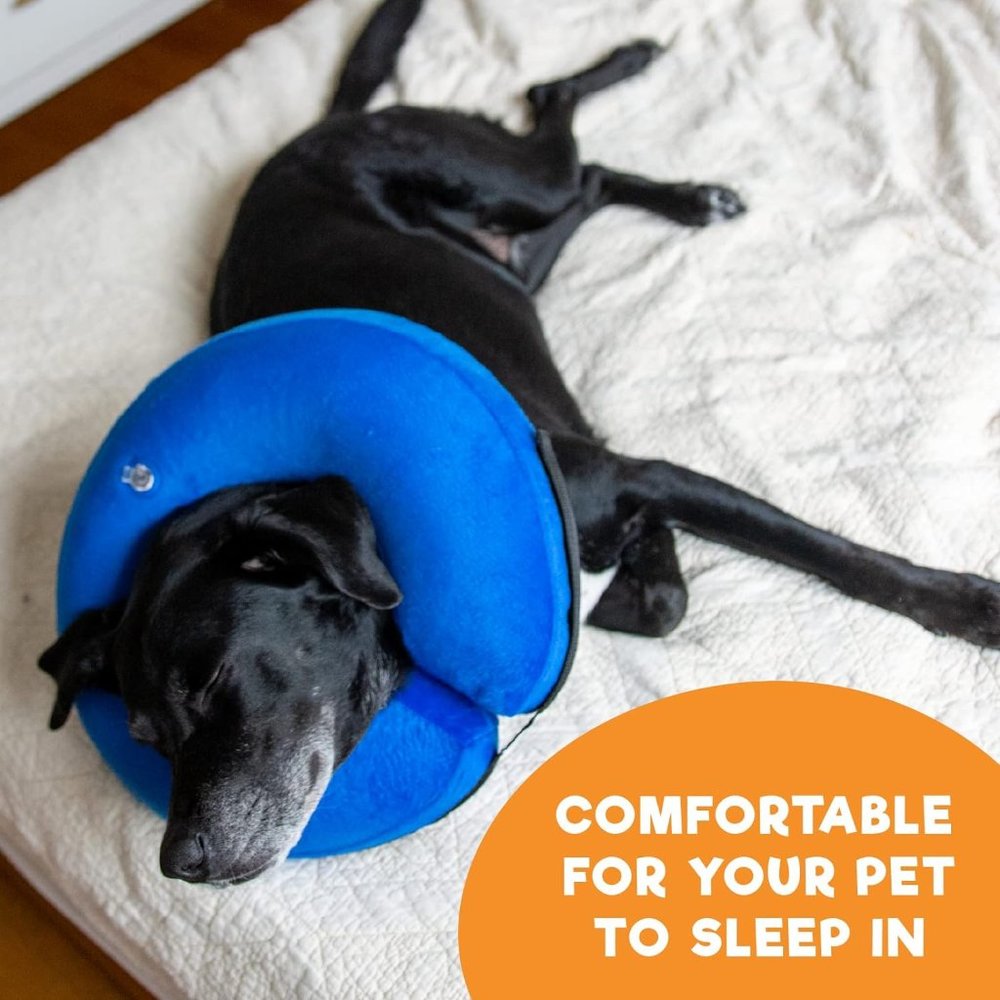 BENCMATE Protective Inflatable Collar for Dogs and Cats (Large/Blue)